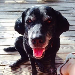 Meet your Posher, Patty